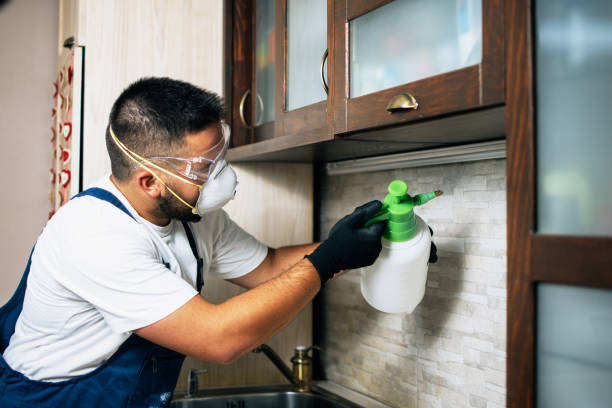 Best Cockroach Control Services  in Avenal, CA