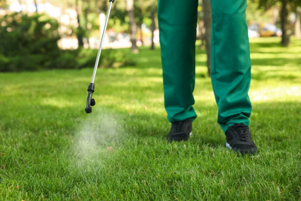 Trusted Avenal, CA Pest Control Experts